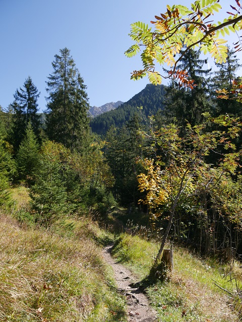 Wanderweg zwischen dem Wildfräuleinstein und Willersalpe