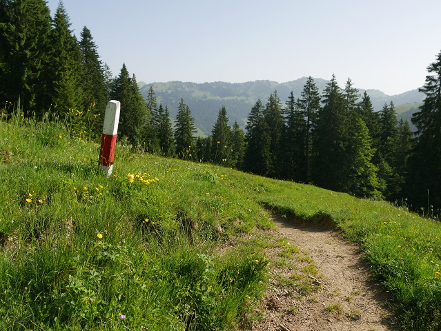 weiß-rote Wegmarke auf dem Weg von der Burgl-Hütte nach Balderschwang
